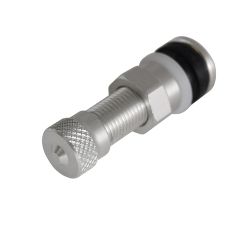 Kineo Straight Aluminium Single Tyre Valve (Silver)